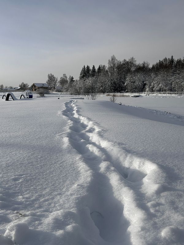 в Новый год!photo preview