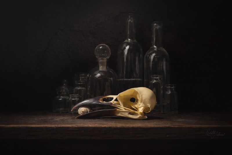 натюрморт, ванитас, натюрморт с черепами, черепа ***photo preview