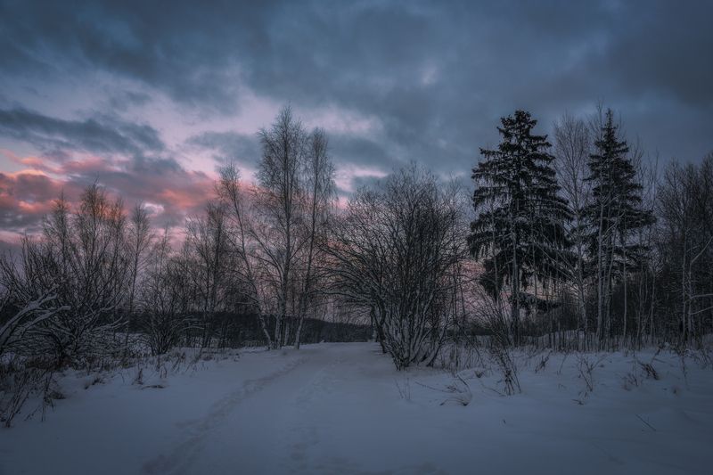 Московская область photo preview