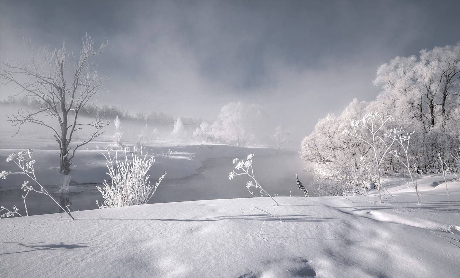 , Анатолий Зверев