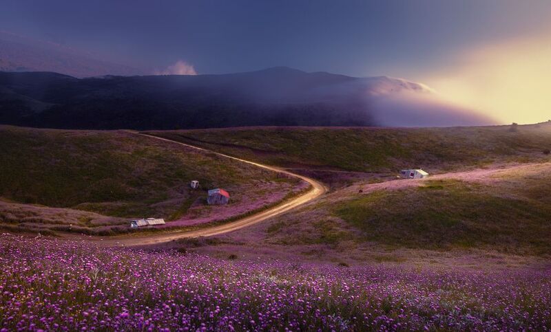 salansarphoto preview