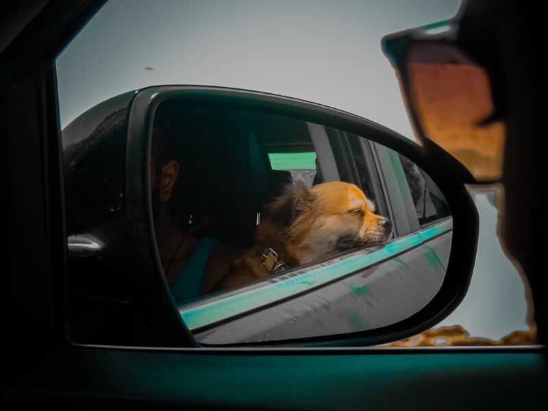 Serenityphoto preview