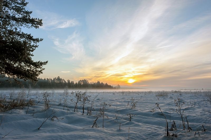 Январское утроphoto preview
