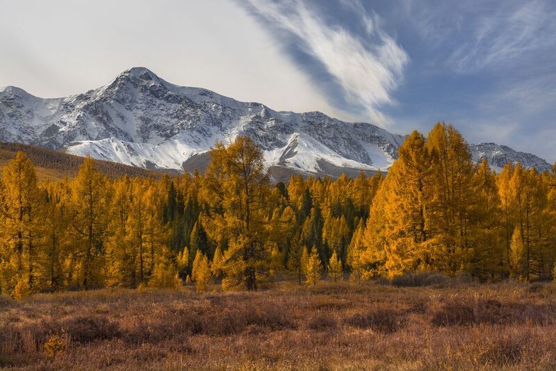 россия, горный алтай,счх,лиственницы, осень Лёд и пламеньphoto preview