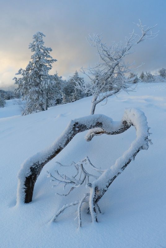 Закат на Волосянойphoto preview