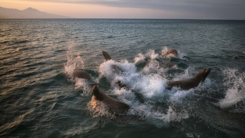 Белый скалы Итуруп Курилы Дальний восток Сахалин *** фото превью