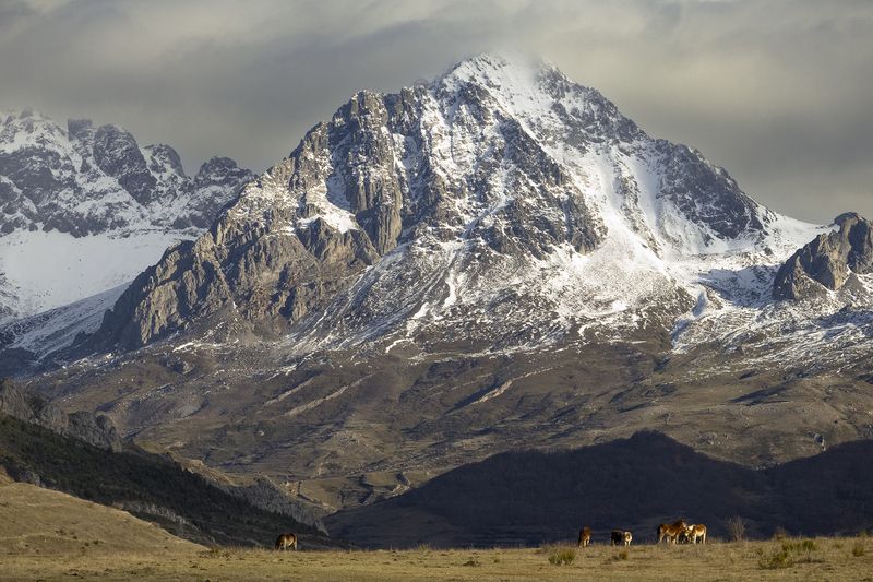 photo, photography, picture, land, landscape, nature, winter, river, color, mood , colorful, green, river,animal, flowing, forest, mountains Rohanphoto preview