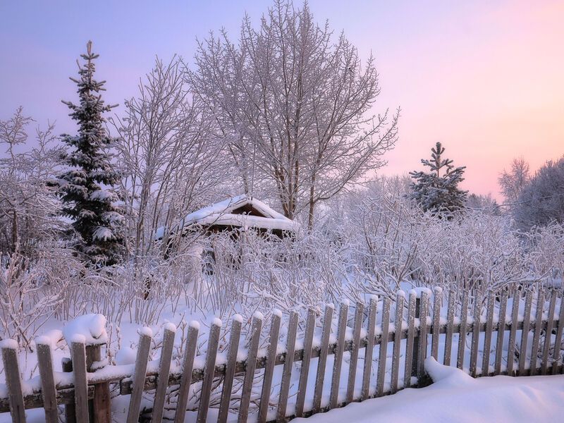 зима, деревня, утро, мороз, природа, север, снег Зимнее утро...photo preview