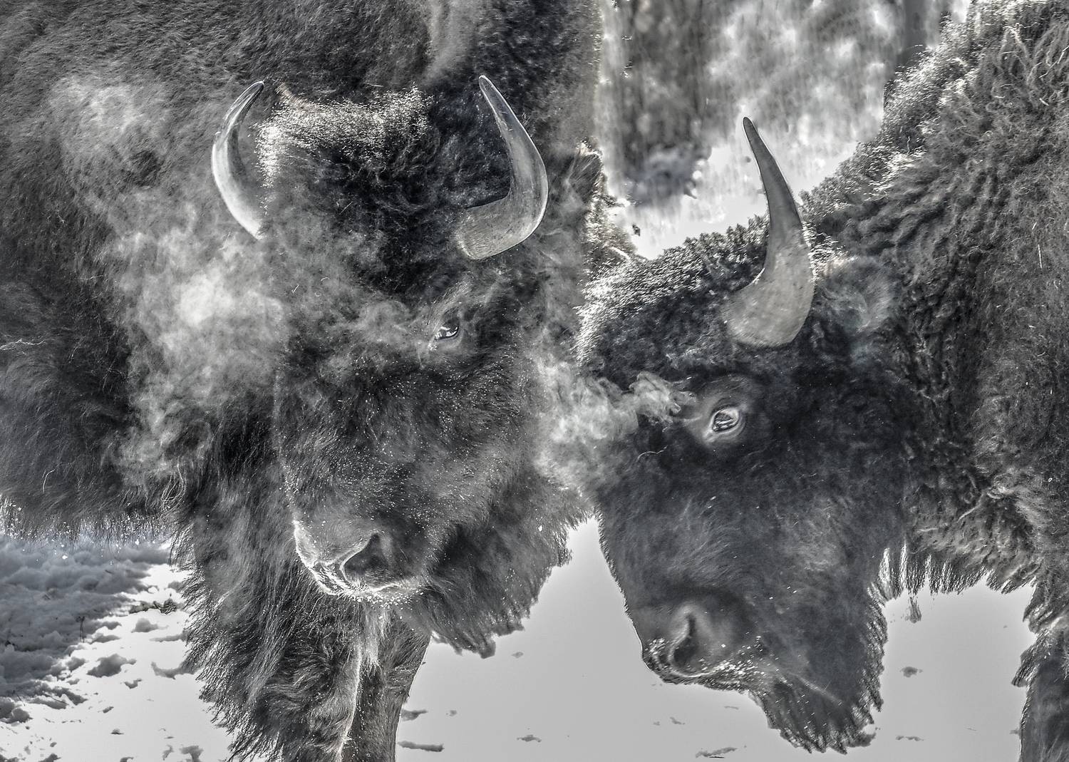 , Михаил Измайлов