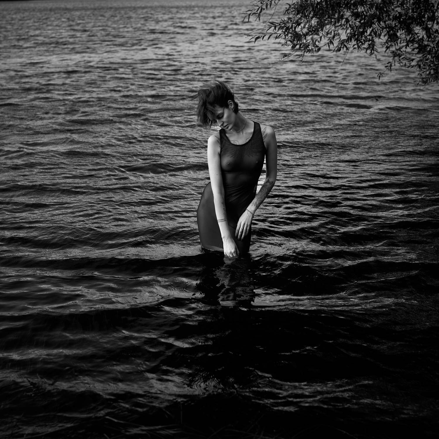 , Антон Покровский