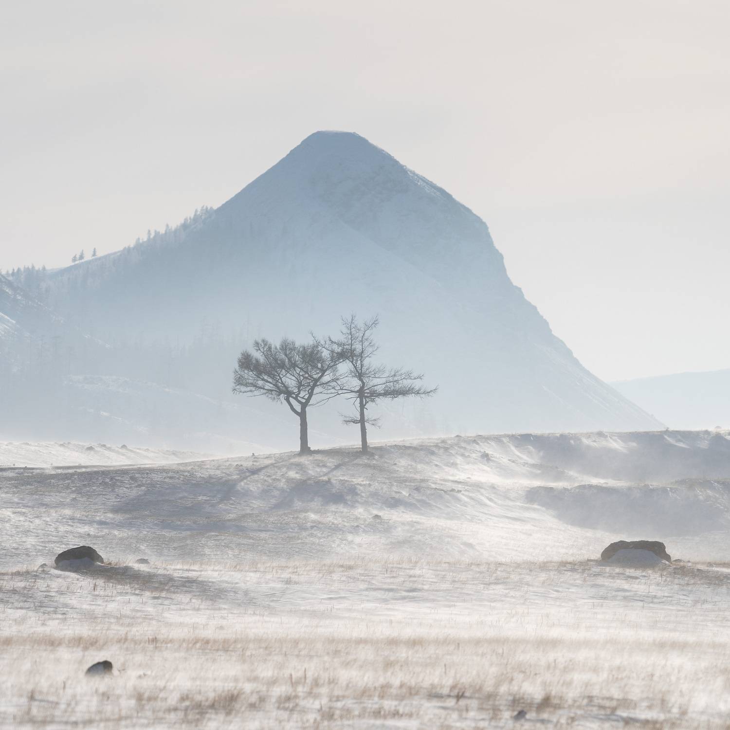 , Важенин Евгений