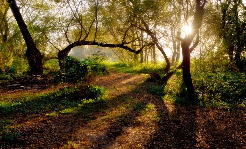 В Дивногорьеphoto preview