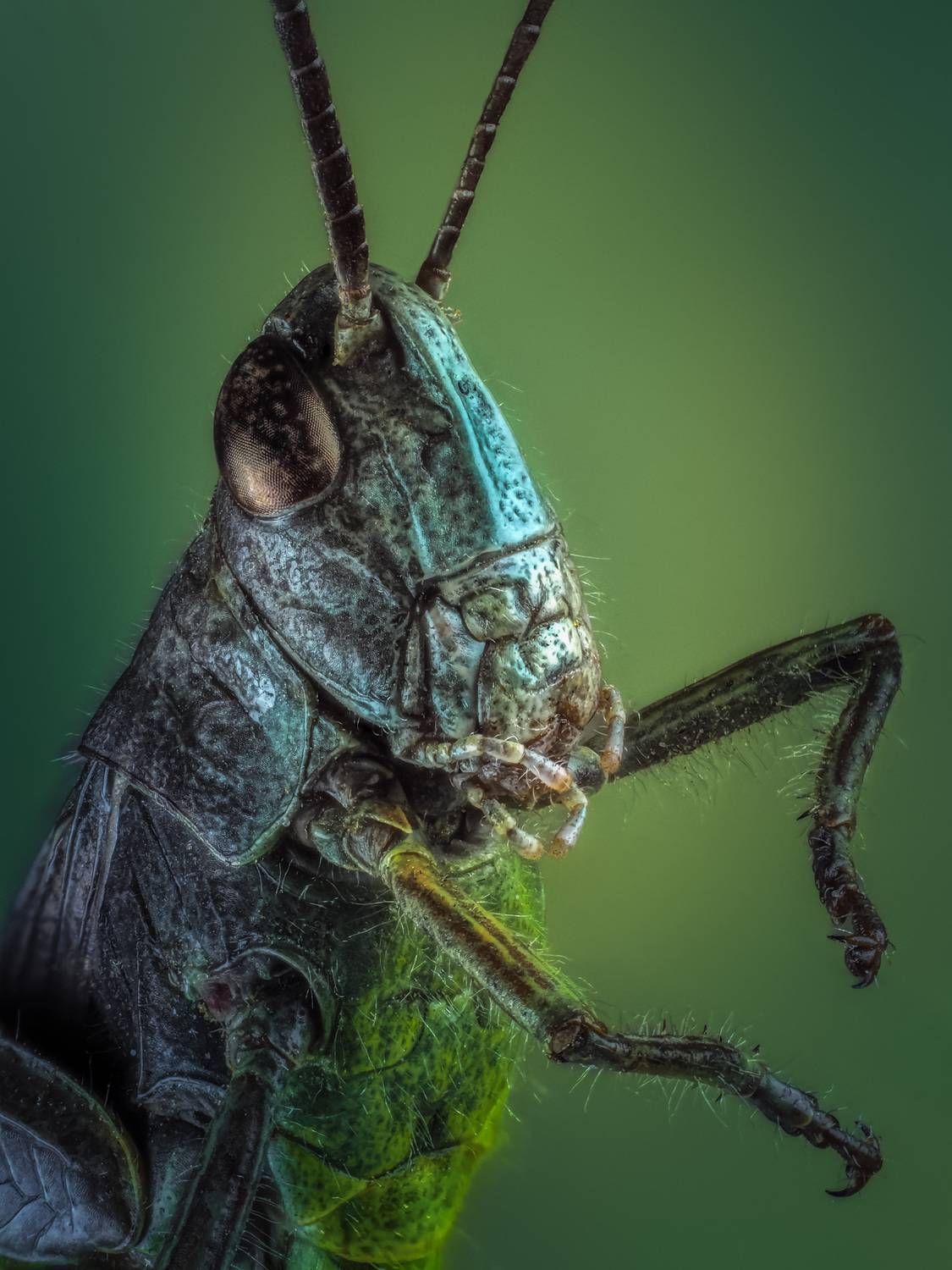 , Олег Савицкий