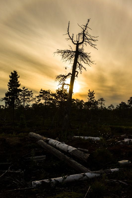 вертолет *** фото превью