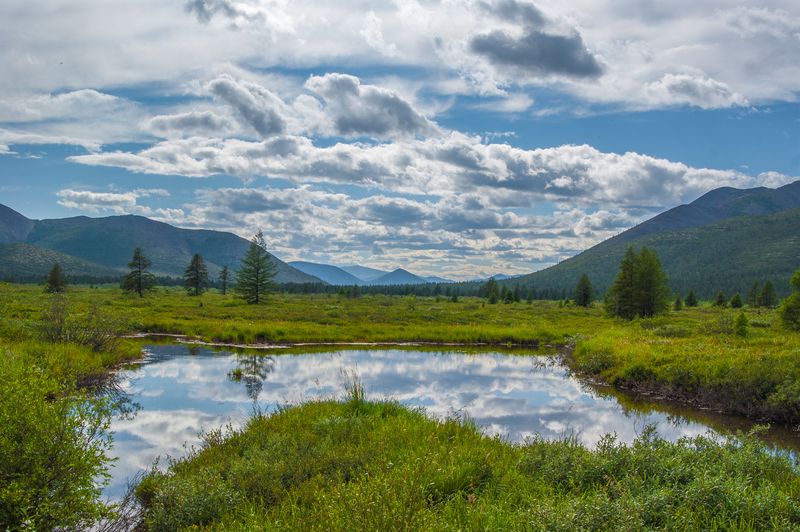 Лето, ах лето...photo preview