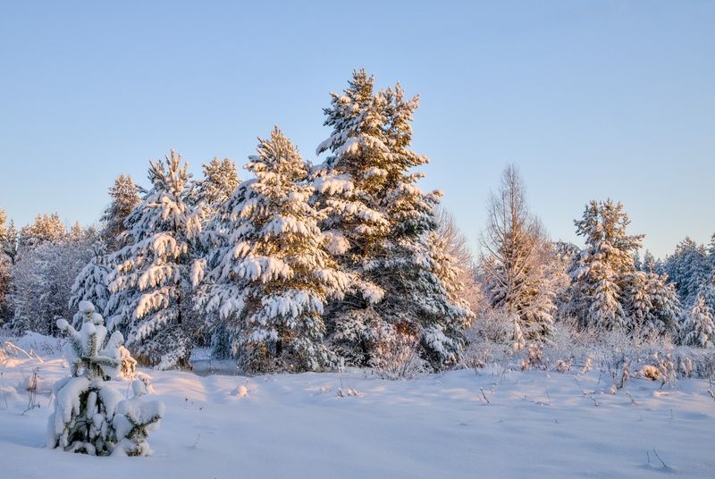январь зима мороз солнце день Морозноphoto preview