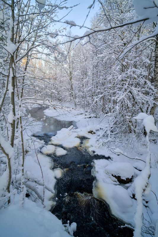 речка ручей поток зима мороз Лесной ручейphoto preview
