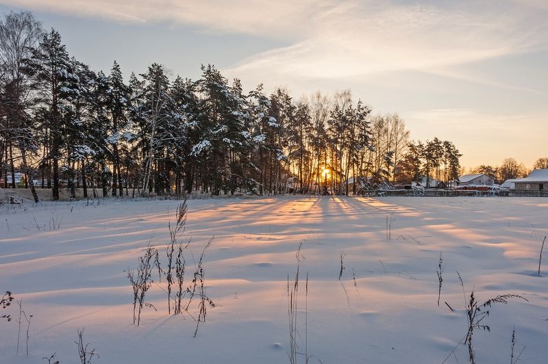 На закате январского дняphoto preview