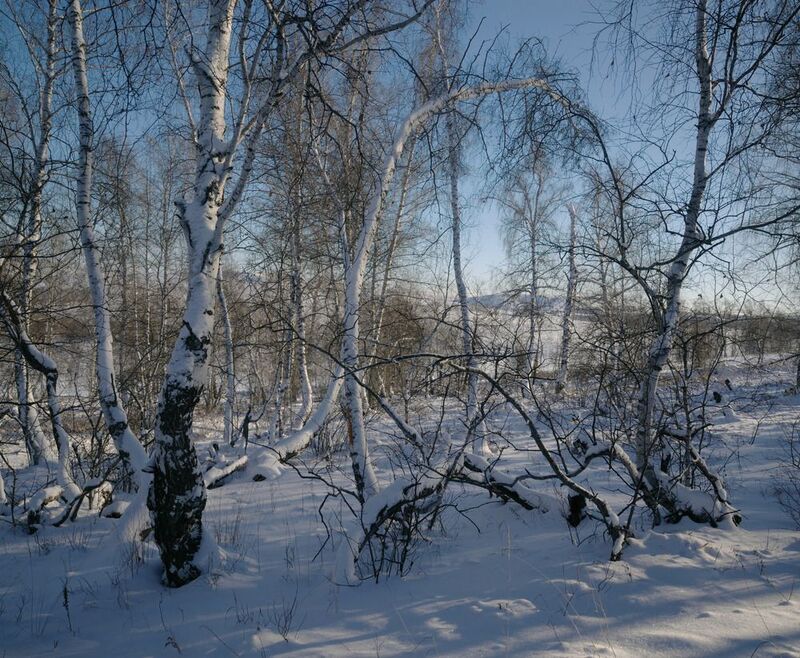 горный прилесокphoto preview