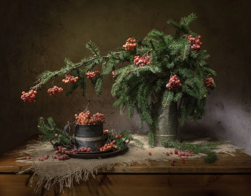 натюрморт, ель, рябина Зимняя рябина... фото превью