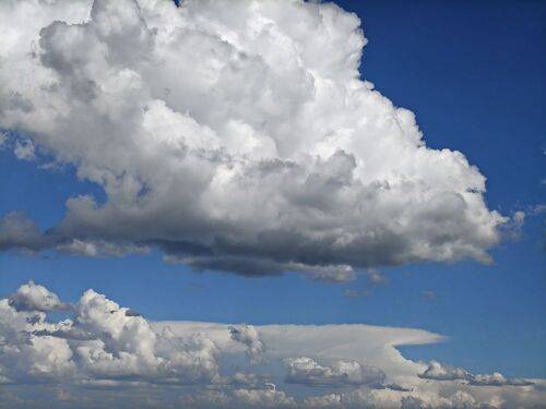 Presencias / Presences