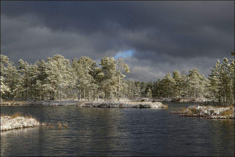 Праздник первого снегаphoto preview