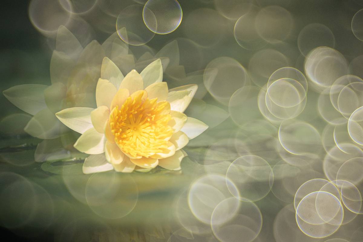 close-up, Игорь Копцев