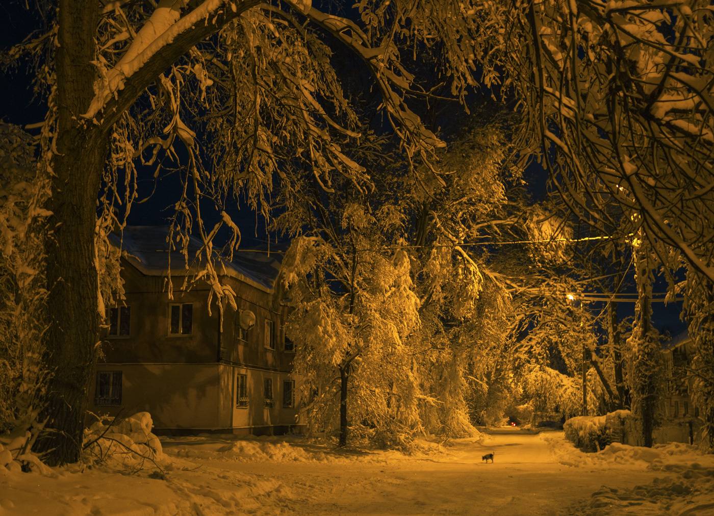 Зимний вечер в сталинках. Автор: Мелекесцев Игорь , Мелекесцев Игорь