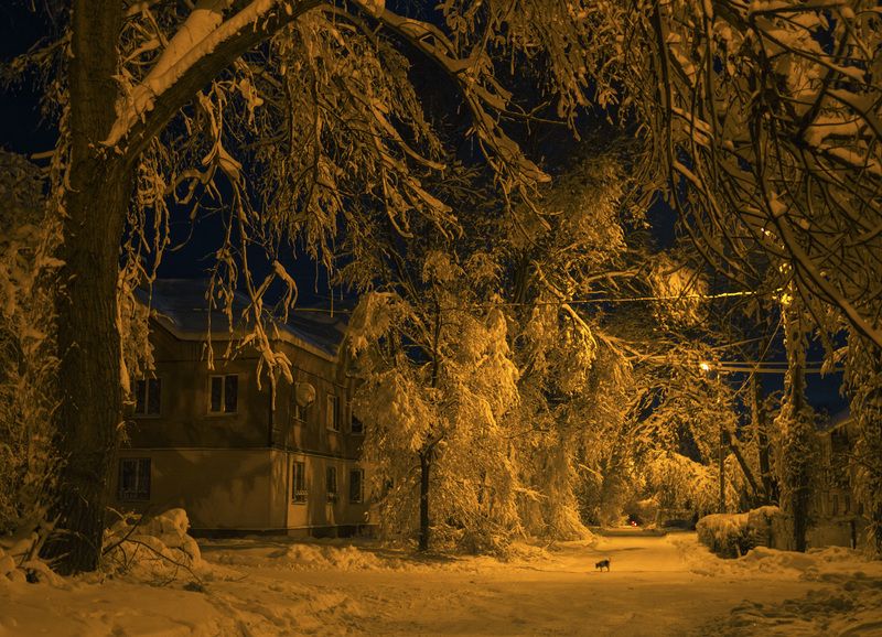 Зимний вечер в сталинках фото превью