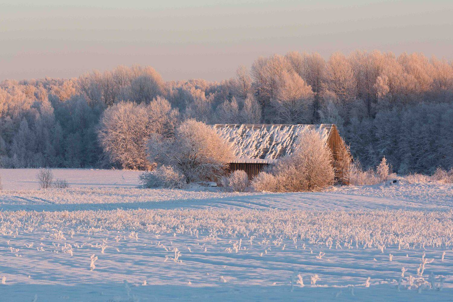 Автор: Eriks Zilbalodis , Eriks Zilbalodis