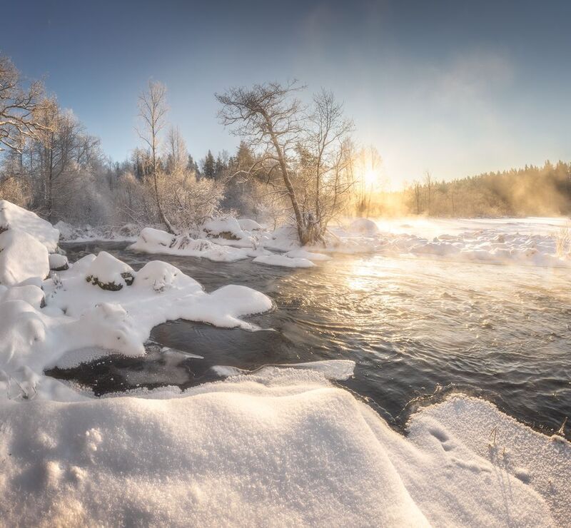 ленобласть, зима, январь *** фото превью