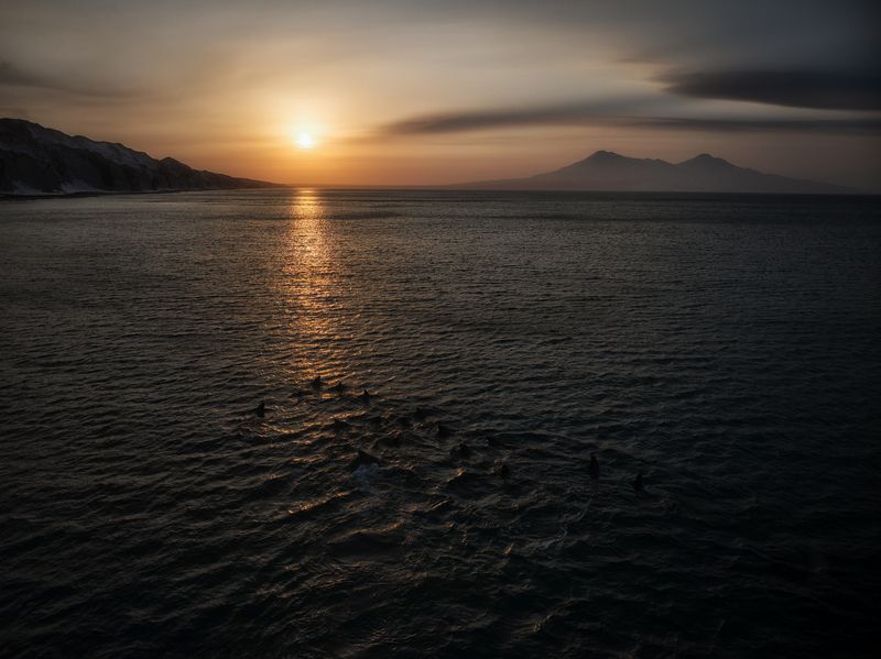 Белый скалы Сивучи Итуруп Курилы Сахалин Дальний восток **** фото превью