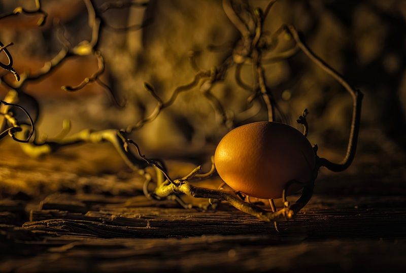 Концептуальная фотография  И опять как назвать ?photo preview