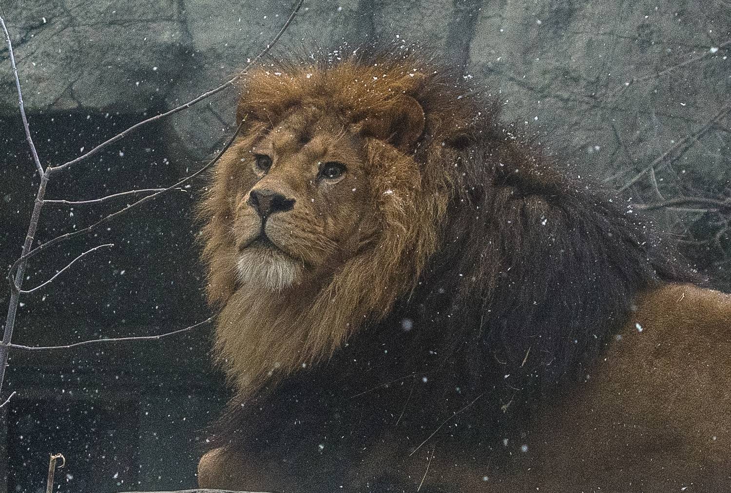 , Михаил Измайлов