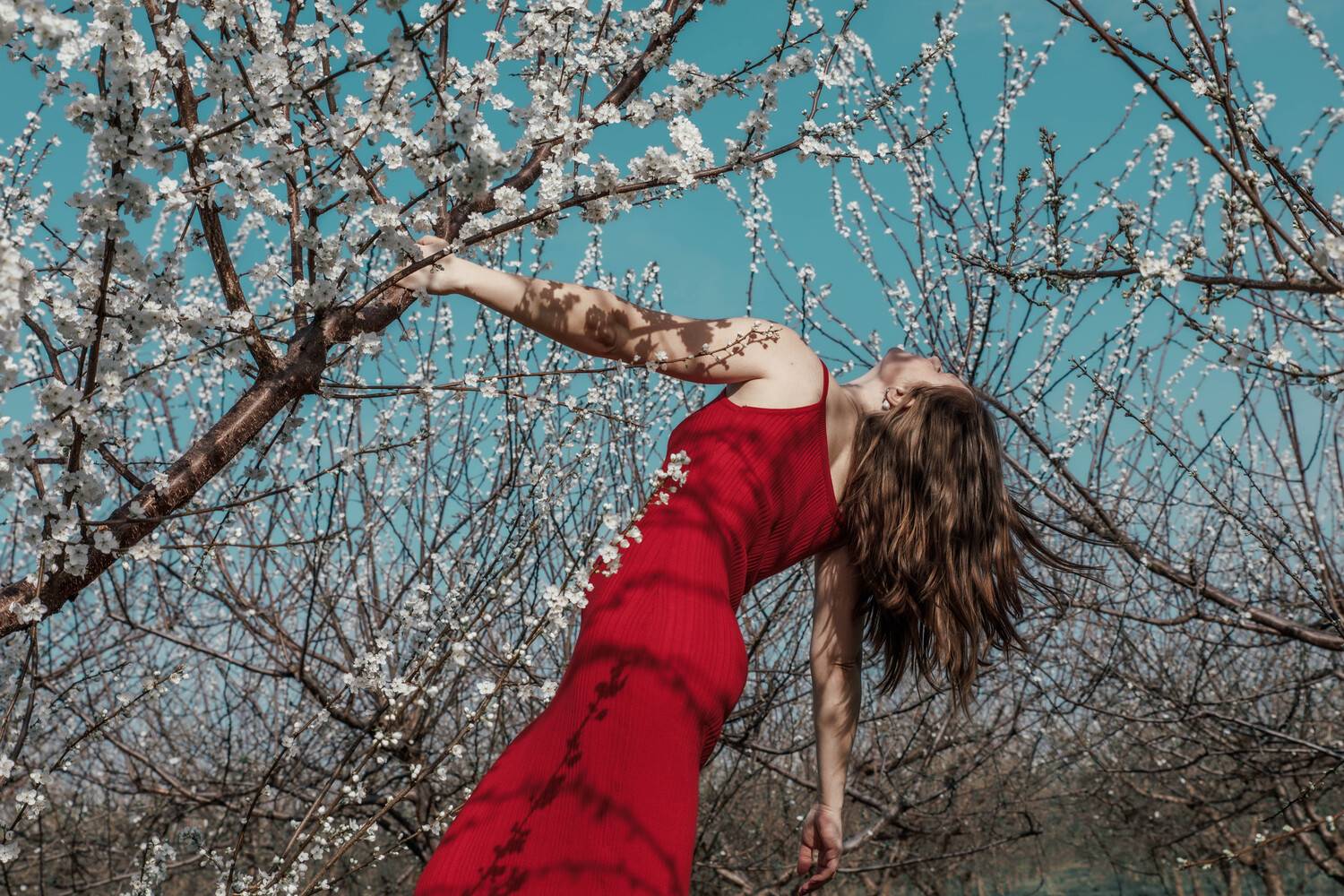 , Сергей Никулин