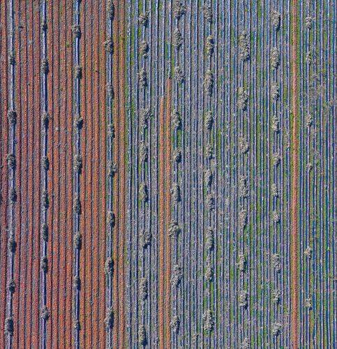 Codes Hidden in the Non