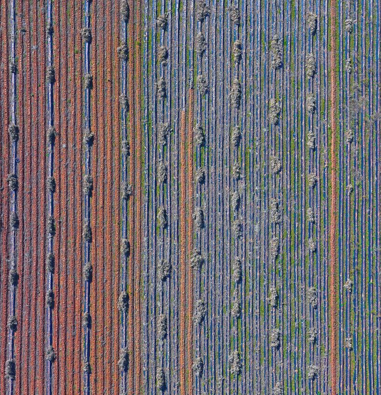 Codes Hidden in the Nonphoto preview