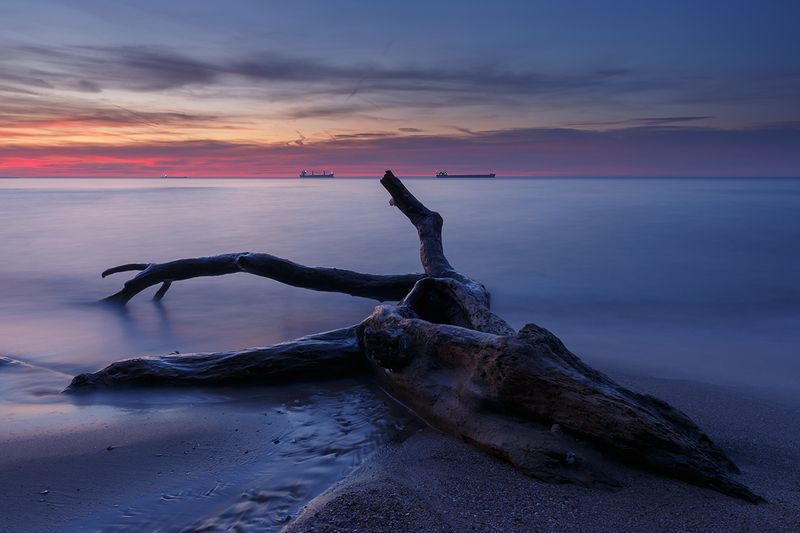 2025-03-11photo preview