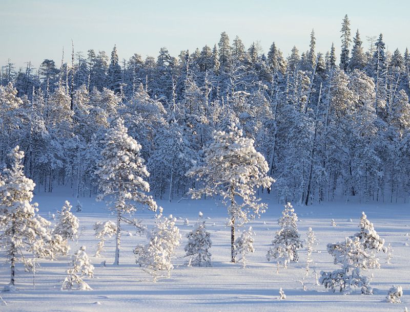 пейзаж, заполярье, север, зима,природа, красота, landscape, north, nature, beautiful Север в объятиях зимыphoto preview