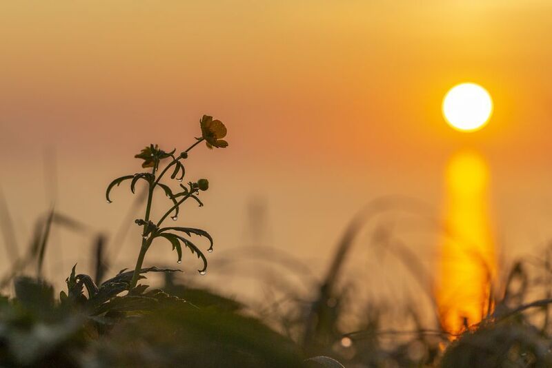 рассвет,итуруп,курильские острова Курильский рассветphoto preview