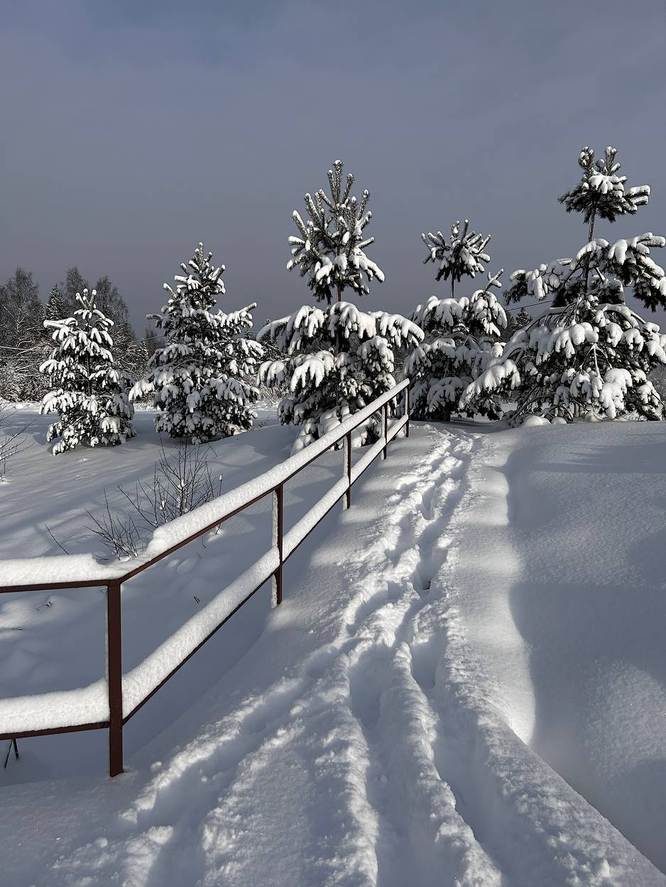 С Рождеством!. Автор: Новикова Ольга , Новикова Ольга