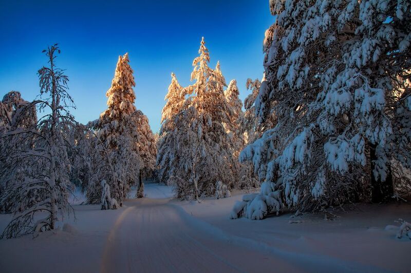 Вечерняя трассаphoto preview