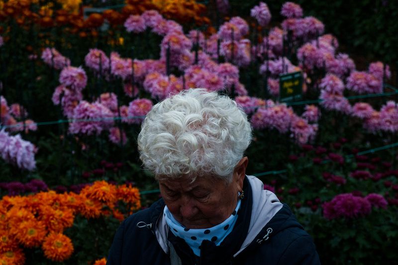 Бал хризантемphoto preview