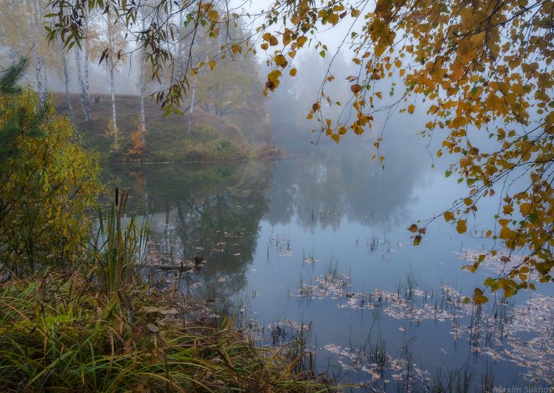 Осень, озеро, листья, туман, камыш, березы, пруд Осеннее озероphoto preview