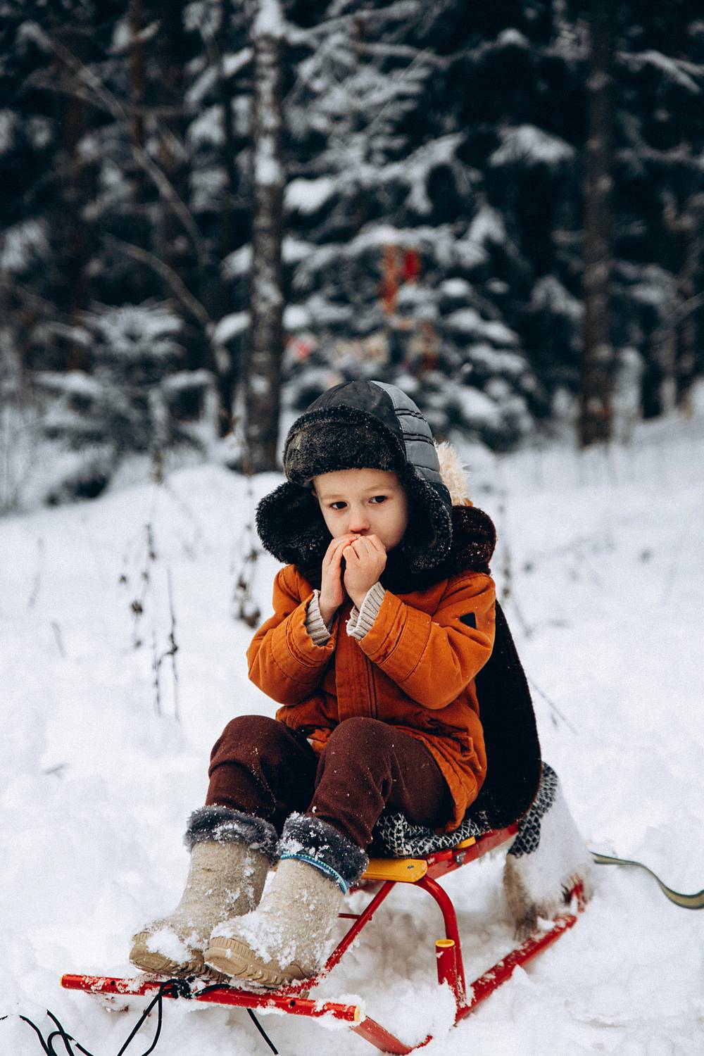 , Мария Корвин-Кучинская