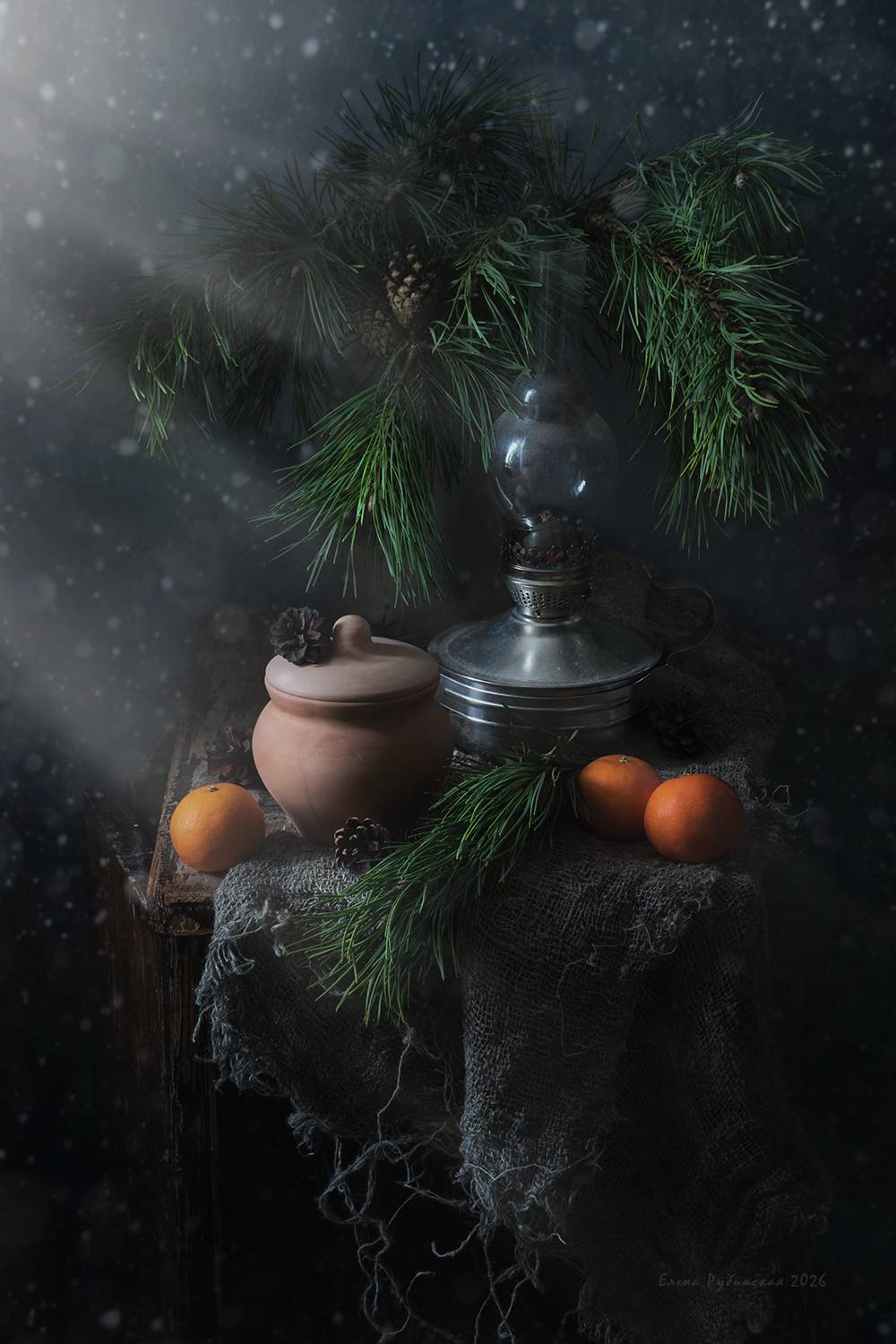 Автор: Елена Рубинская , Елена Рубинская