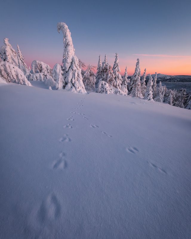 н.п. Зюраткуль, г. Большой Уванphoto preview