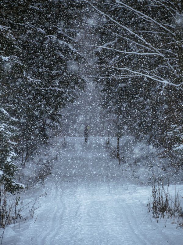 snow,snowy,winter,storm,snowing,people Snow stormphoto preview