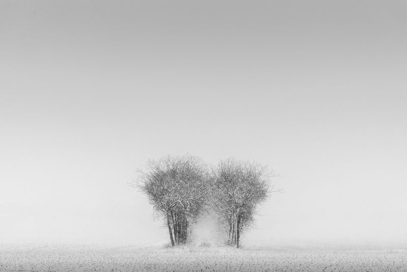 Breath of the Invisiblephoto preview