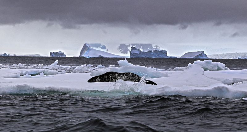 Sweet dreams фото превью
